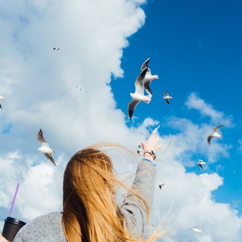 Индивидуальное путешествие по Калининграду и балтийским берегам