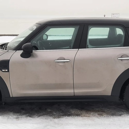 Святые покровители Петербурга