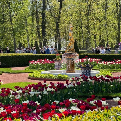 Парк и фонтаны Петергофа (всё включено)