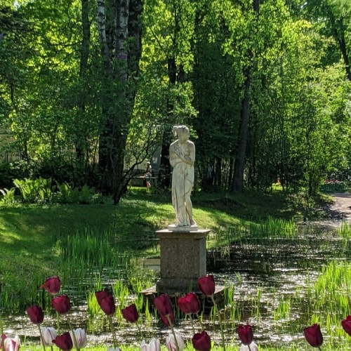 Истории любви на аллеях Павловского парка.