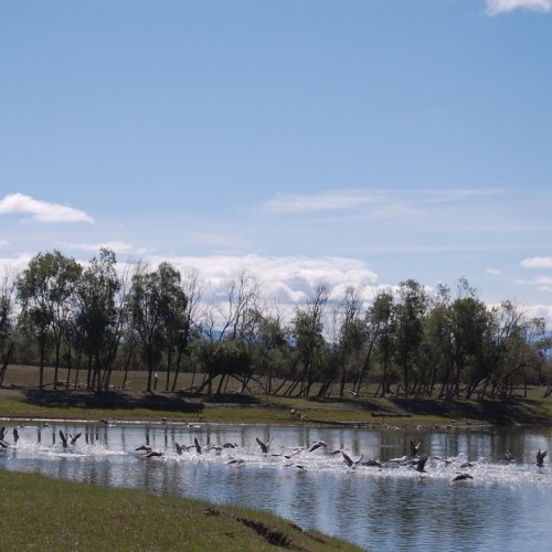 На внедорожнике по Бурятии и Монголии: 3 дня с видом на вершины Восточного Саяна (мини-группа)