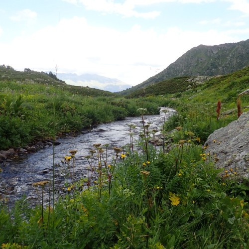 Треккинг-тур в Архыз с комфортом: прогулки в горах налегке с проживанием в гостевом доме