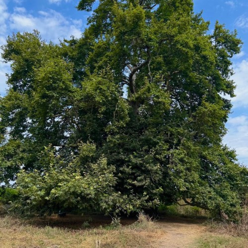 Сокровища Южного Дагестана: путешествие «всё включено» по знаковым локациям с мастер-классами