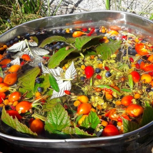 Лёгкий треккинг в Приэльбрусье с проживанием в гостинице