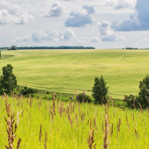 Из Москвы в Рязань, Зарайск и Константиново: автобусный тур