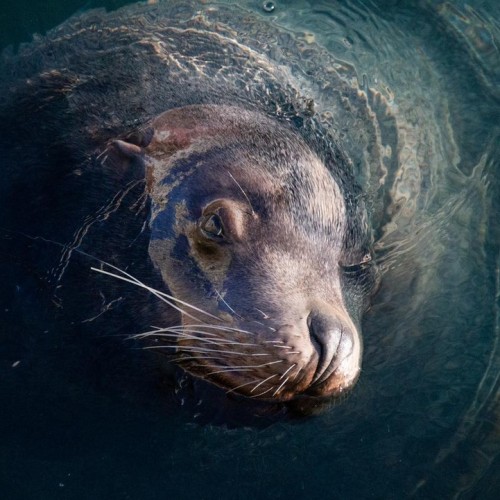 На джипе по Камчатке: восхождения, рыбалка, сплав и обеды на свежем воздухе (мини-группа)