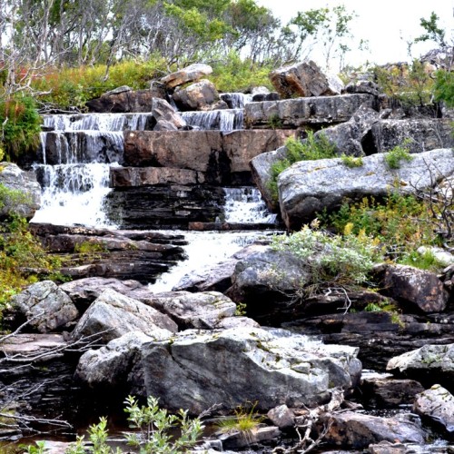 Чарующая атмосфера Севера: на полуострова Средний и Рыбачий с ночёвками в палатках (мини-группа)