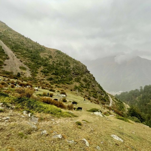 Прогулки по ущельям Северной Осетии и Владикавказу