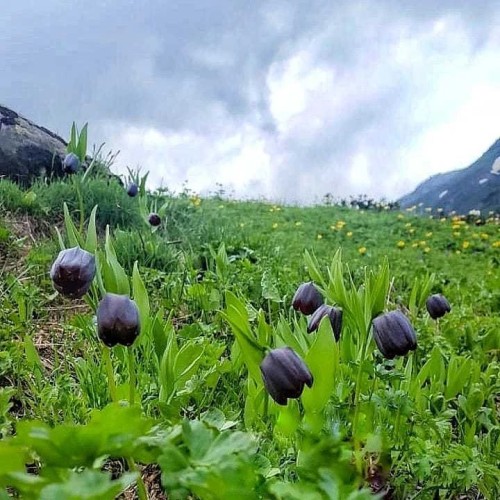 Мини-поход на Бзерпинский карниз