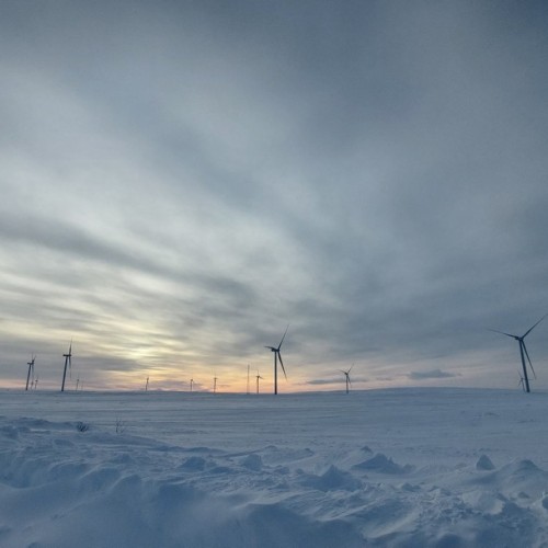 Главные локации и гастровпечатления Заполярья: тур в мини-группе по Мурманску и Териберке