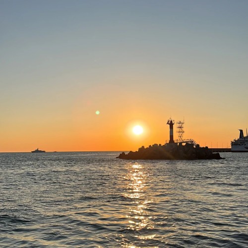 Дельфины, яхта и фотосессия — морская прогулка в Сочи (в мини-группе)