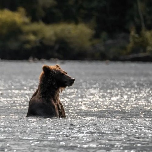 Активный отдых на Камчатке в мини-группе: треккинги, сплавы, квадроциклы