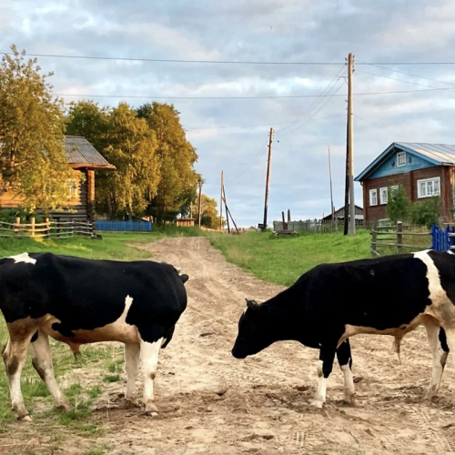 В гости к поморам под белоснежными парусами: приключения вдали от цивилизации