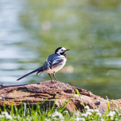 Семейные выходные на базе отдыха: индивидуальный тур с катанием на квадроциклах, баней и рыбалкой