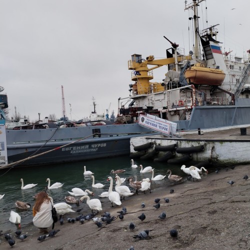 Своей компанией на западный край России: Калининград, побережье Балтики, наследие Тевтонского ордена