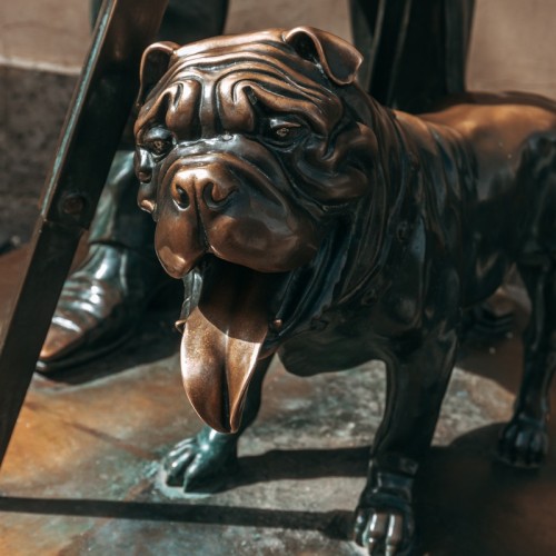 Рыцари, коты, слоны и та самая чайка: иммерсивная прогулка в наушниках