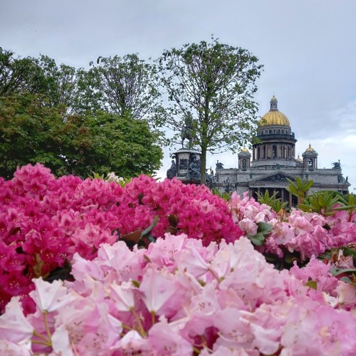 Соборы Петербурга: Смольный, Исаакиевский, Казанский и Николо-Богоявленский