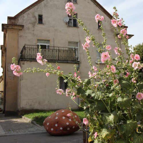 По старинным прусским городкам в мини-группе: Полесск, Советск, Неман, Гусев и Черняховск
