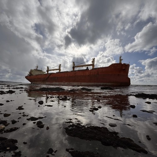В гости к морским львам — на Сахалине