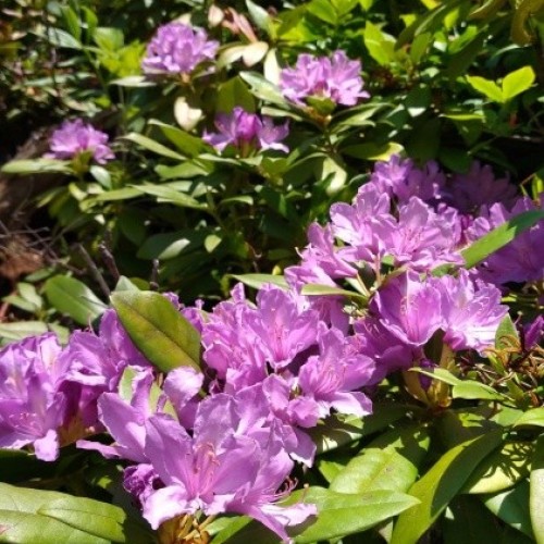 Адыгея для всей семьи: прогулки, мастер-классы и водные процедуры