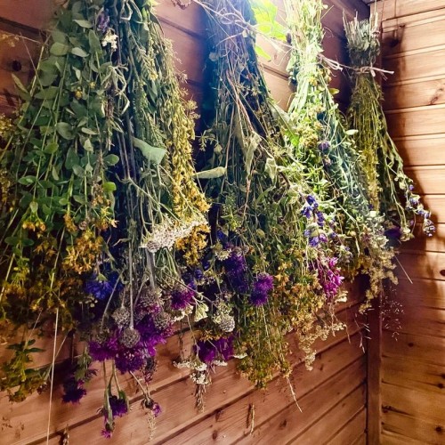 Перезагрузка в Приладожье с йогой, баней, сибирским чаном и сапами (всё включено)