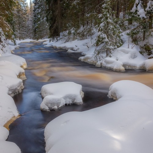 Там, где властвует природа: индивидуально в Карелию с гидом-фотографом