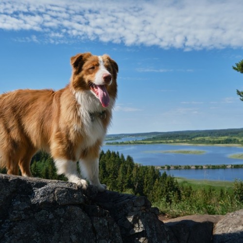 Фантастическая природа Карелии и горный парк «Рускеала»