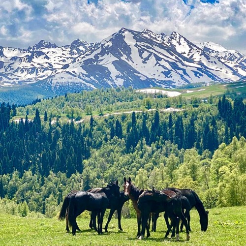 Весенний Архыз: треккинг налегке с проживанием в гостинице