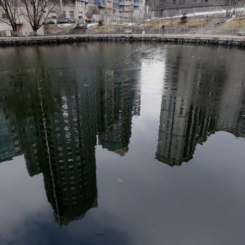 Мобильный квест в Петербурге «Поиски слона на Озерках»