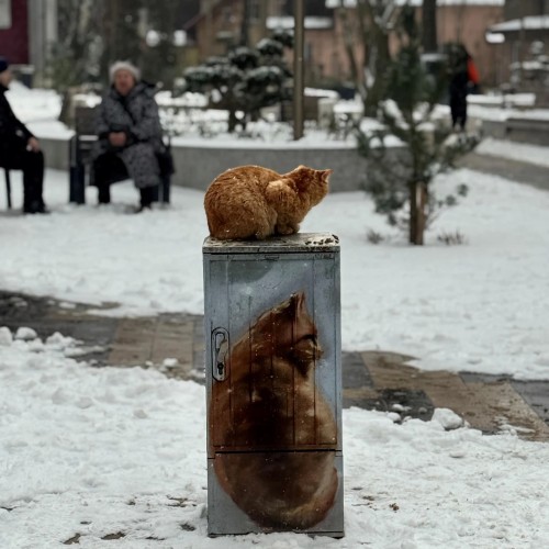 Калининград, города побережья и Восточной Пруссии индивидуально