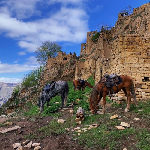 Знаковые места Чечни и Дагестана: от современного мегаполиса к древним аулам