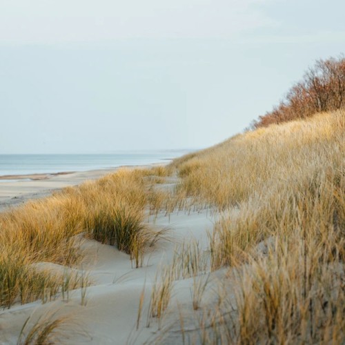 По Калининграду и области на автобусе: Светлогорск, Зеленоградск, Янтарный и Куршская коса