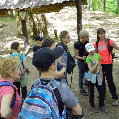 Лёгкий треккинг в субтропиках с проживанием в гостинице в Адлере