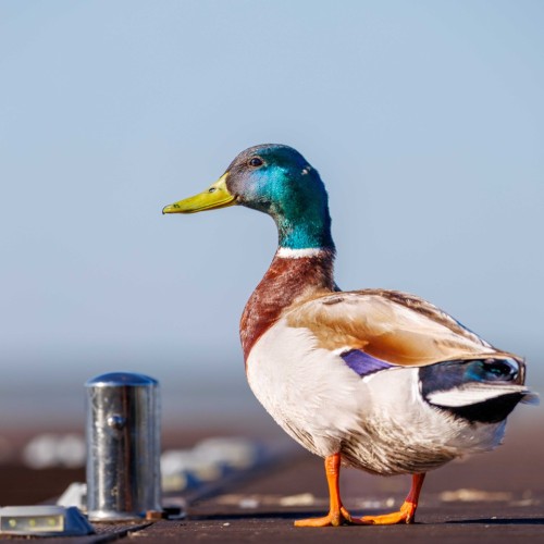 Семейные выходные на базе отдыха: индивидуальный тур с катанием на квадроциклах, баней и рыбалкой