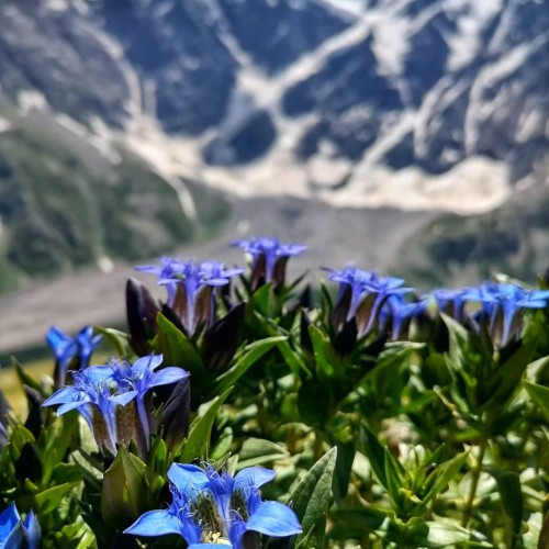Лёгкий треккинг в Приэльбрусье с проживанием в гостинице