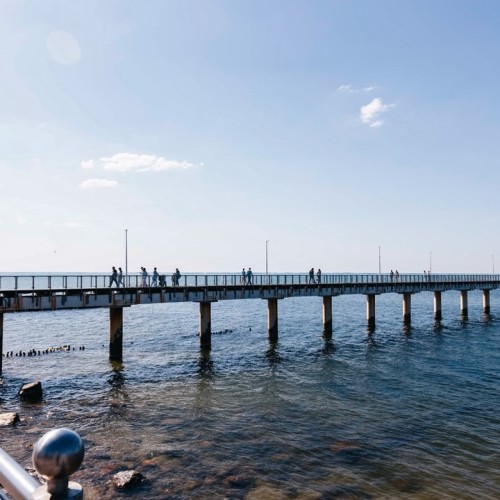 Море, котики, курорты: главное в Калининградской области