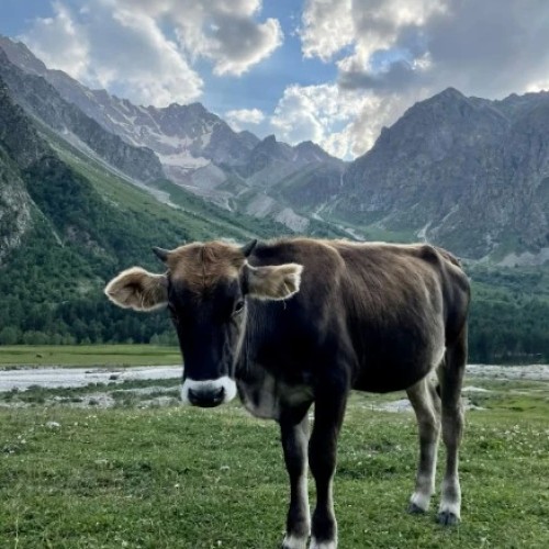 Комфортный треккинг в Приэльбрусье в мини-группе