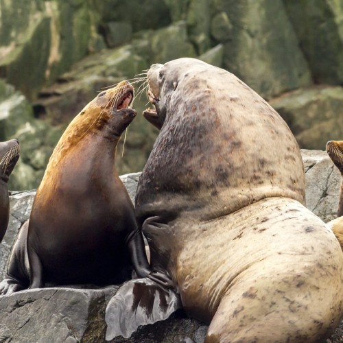 Калейдоскоп впечатлений на Камчатке: треккинги, вулканы и горячие источники