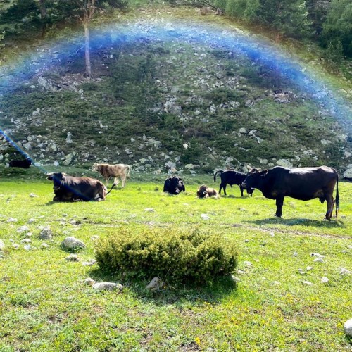 Треккинг налегке у подножия священной горы Уллу-Тау (комфорт размещения на выбор)