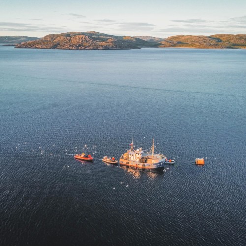 За атмосферой Арктики: тур из Мурманска в Териберку с дегустацией и прогулками по главным местам