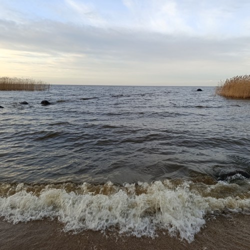 Гурьевск — Полесск: дорогами тевтонов (из Калининграда)