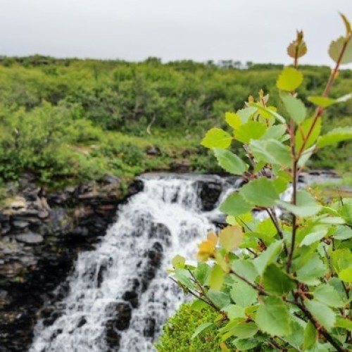 На самый-самый север: автопутешествие по Рыбачьему и Среднему