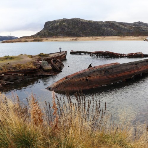 На Кольский в поисках китов и дельфинов мини-группой