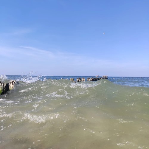 В царство дюн, моря и птиц на Куршской косе — из Калининграда