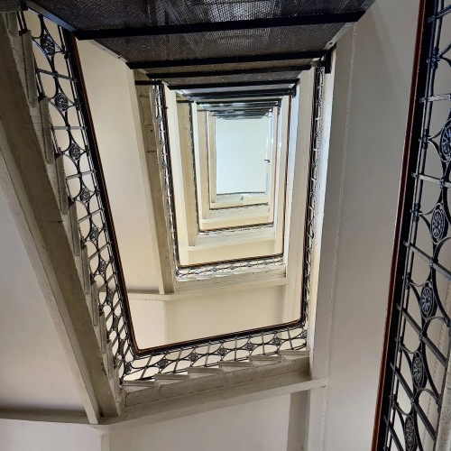 Петербург для жаворонков, или Утренняя прогулка по Петроградской стороне