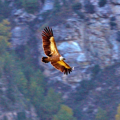 Выше облаков на 3760 метров на гору Шалбуздаг: треккинг налегке с проживанием в гостинице