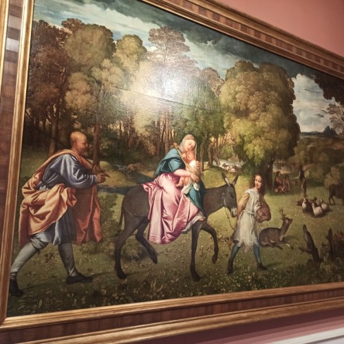 Звери в Эрмитаже: авторская экскурсия