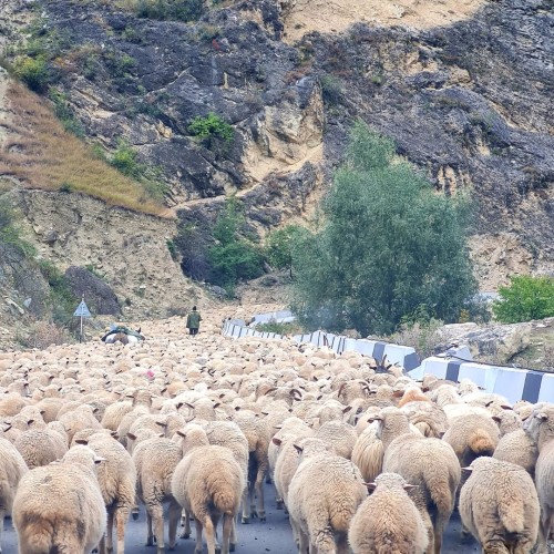 Виды и вкусы Дагестана с аэросъёмкой: топовые локации и национальная кухня
