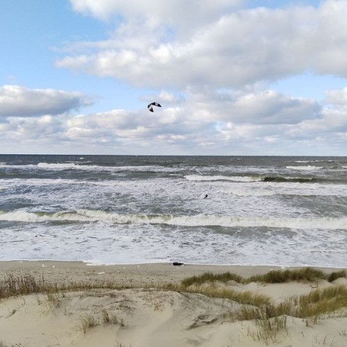 Индивидуальная перезагрузка на Куршской косе и увлекательные экскурсии