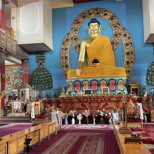 Цветущие тюльпаны и буддийские святыни: из Волгограда в Элисту